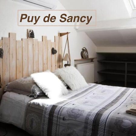 Logements Chaine Des Puys Avec Garages Attenants Клермон-Ферран Екстер'єр фото